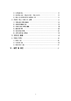 [광고홍보] 현대자동차 온라인 마케팅 기획서-3