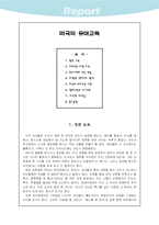 [교육학]미국의 유아교육-2