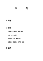 박근혜 탄핵 사태로 보는 민주주의 실현-2