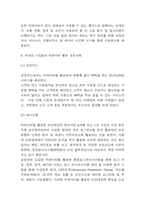 빅데이터 정의 및 역할분석 및 국내외 기업들의 빅데이터 활용 성공사례와 빅데이터의 미래전망 연구-4