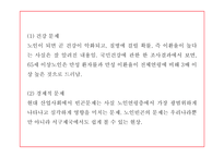 노인복지 연구 PPT (노인복지 기능,역할,실행원칙 / 우리나라와 해외 노인복지 정책사례연구 / 노인복지 미래방향제시)-13