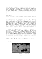(윤리문제보고서)위급한 사람을 돕는 것은 의무인가-4