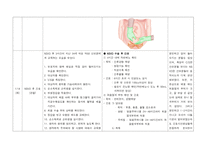 여성간호실습(산과병동 반영일지)-6