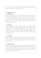 마케팅관리론_마케팅믹스 전략에 대한 개념을 제시하고, 최근 출시된 신제품을 하나 선정하여 어떤 마케팅믹스 전략을 수립하였는지 분석-2