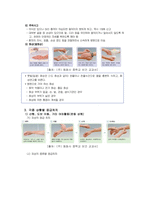과학탐구올림픽대회 인솔 계획-5
