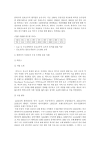 국제마케팅 성공사례-7