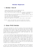 [국제경영] Meridian Magnesium-3