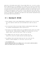 [국제경영] Meridian Magnesium-4