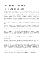 [국제경영] Meridian Magnesium-5