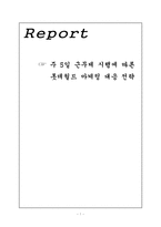 [관광산업환경] 주 5일 근무제 시행에 따른 롯데월드 마케팅 대응 전략-1