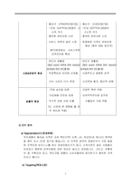 [국제경영] 면도크림 생산 전문 업체 G&S Co.(Green Shave Cooperation) 전략-5