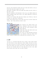 [국제경영] 면도크림 생산 전문 업체 G&S Co.(Green Shave Cooperation) 전략-20