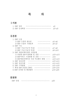 erp 전사적 자원 관리(Enterprise Resource Planning)-2