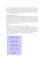 [국제경영] 종합 성형외과 전문병원의 중국 상해 진출-8