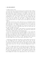 [사이버 범죄] 사이버테러에 관한 고찰-2