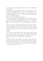 [매체계획론] 데일리 솝트리 Daily Soaptree의 2004년 매체 계획-16