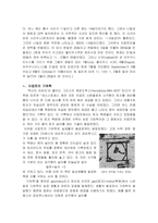 [고대 문명과 기후] 이집트 문명과 나일강-13