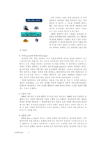 [컴퓨터개론] Peer to Peer(p2p)-5