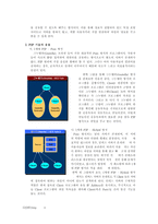 [컴퓨터개론] Peer to Peer(p2p)-6
