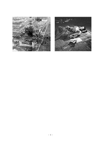 [자연,핵무기]핵무기의 위험과 실상-4