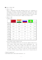 [경영, 경제][국제경영]BRICs에 대하여-1