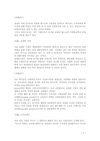 [경영, 경제][경영]한국기업의 국제마케팅 성공과 실패사례-4
