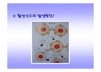 [활성산소에 대해서]활성산소-4