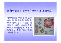 [활성산소에 대해서]활성산소-6