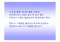 [활성산소에 대해서]활성산소-9