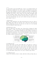 해부생리학 중추신경계와 말초신경계의 구조와 차이 레포트-2