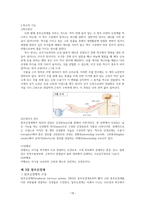 해부생리학 중추신경계와 말초신경계의 구조와 차이 레포트-8