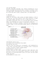 해부생리학 중추신경계와 말초신경계의 구조와 차이 레포트-9