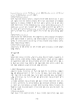 해부생리학 중추신경계와 말초신경계의 구조와 차이 레포트-12