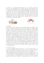 아동간호학 응급간호학 소아 영아 소아소생술 심폐소생술 CPR-6