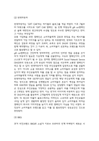 SNS마케팅 기업사례 (현대자동차,이니스프리,BBQ,아디다스) 분석과 SNS마케팅 특성,장단점 분석 및 미래방향제시-5