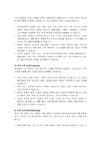 현대자동차의 중국시장 마케팅 전략 분석-6