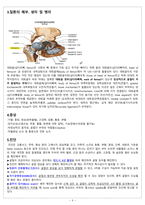 성인간호실습-대퇴골 골절-4
