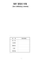 아동간호학-철분결핍성빈혈 사례 -1