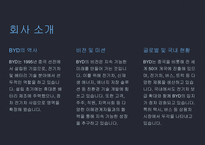 A+ BYD 전략 분석 및 미래 전망-3