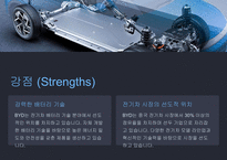 A+ BYD 전략 분석 및 미래 전망-8