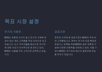 A+ BYD 전략 분석 및 미래 전망-14