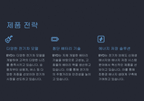 A+ BYD 전략 분석 및 미래 전망-17