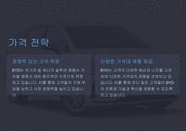 A+ BYD 전략 분석 및 미래 전망-18