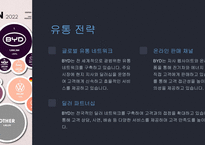 A+ BYD 전략 분석 및 미래 전망-19