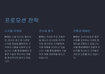 A+ BYD 전략 분석 및 미래 전망-20