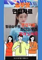 승무원 면접 최종합격자의 면접질문 모음 + 합격팁 [최신극비자료]-1