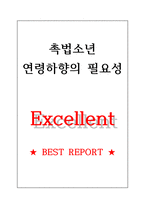 촉법소년 연령 하향의 필요성-1