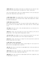 필리핀이나 베트남 사람들이 자신들의 문화보다 한국의 문화를 더 좋아한다면 이러한 현상을 설명할 수 있는 문화현상에 대한 개념을 제시하고, 한류에 대해서 아는 대로 서술하시오-2