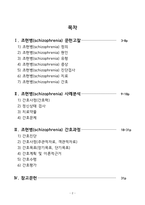 A+ 조현병/간호과정/간호진단-2
