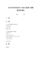 구조적가족치료의 치료기법에 대해 설명하세요-1
